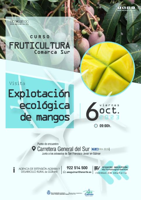Visita Explotación ecológica de mangos