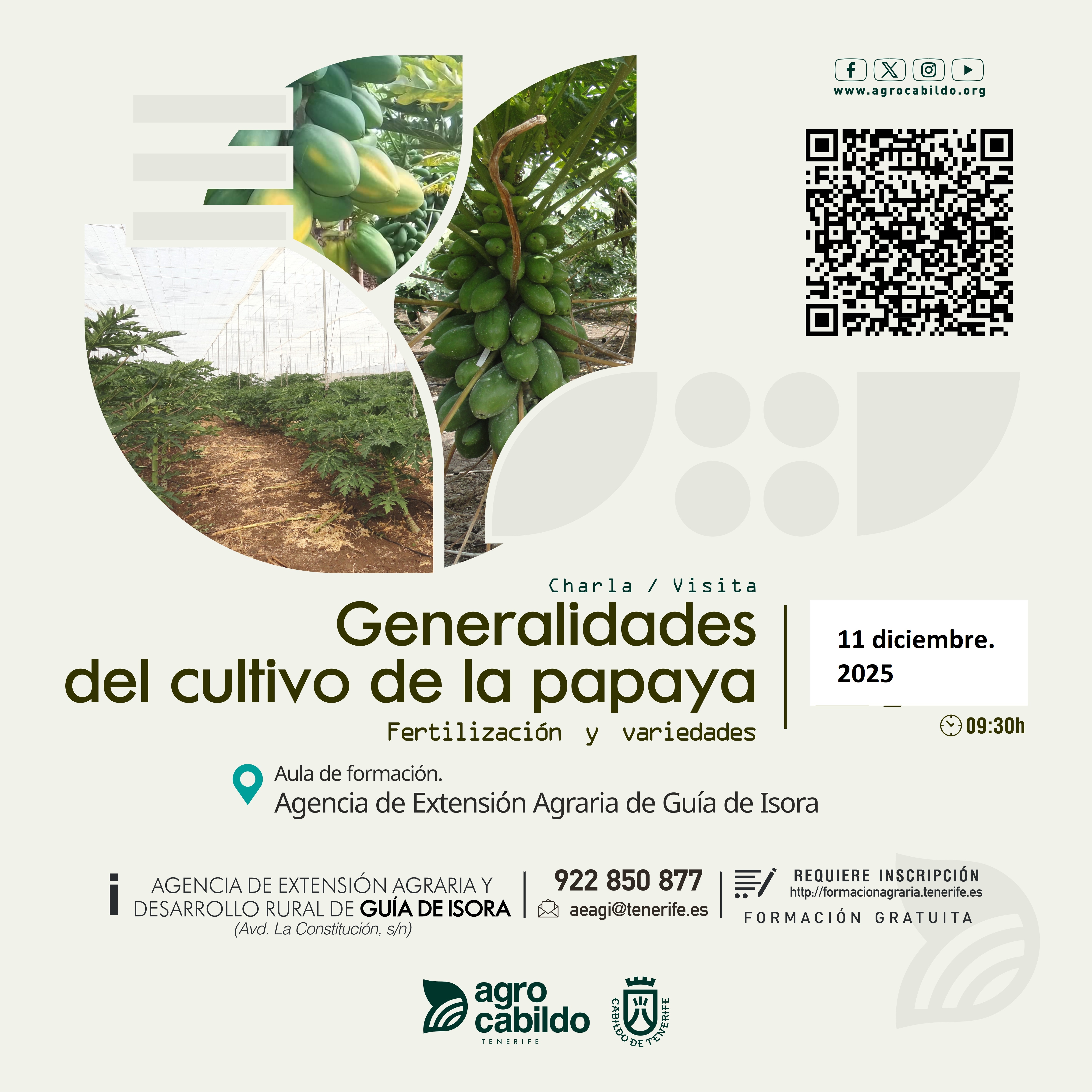 Generalidades del cultivo de la papaya