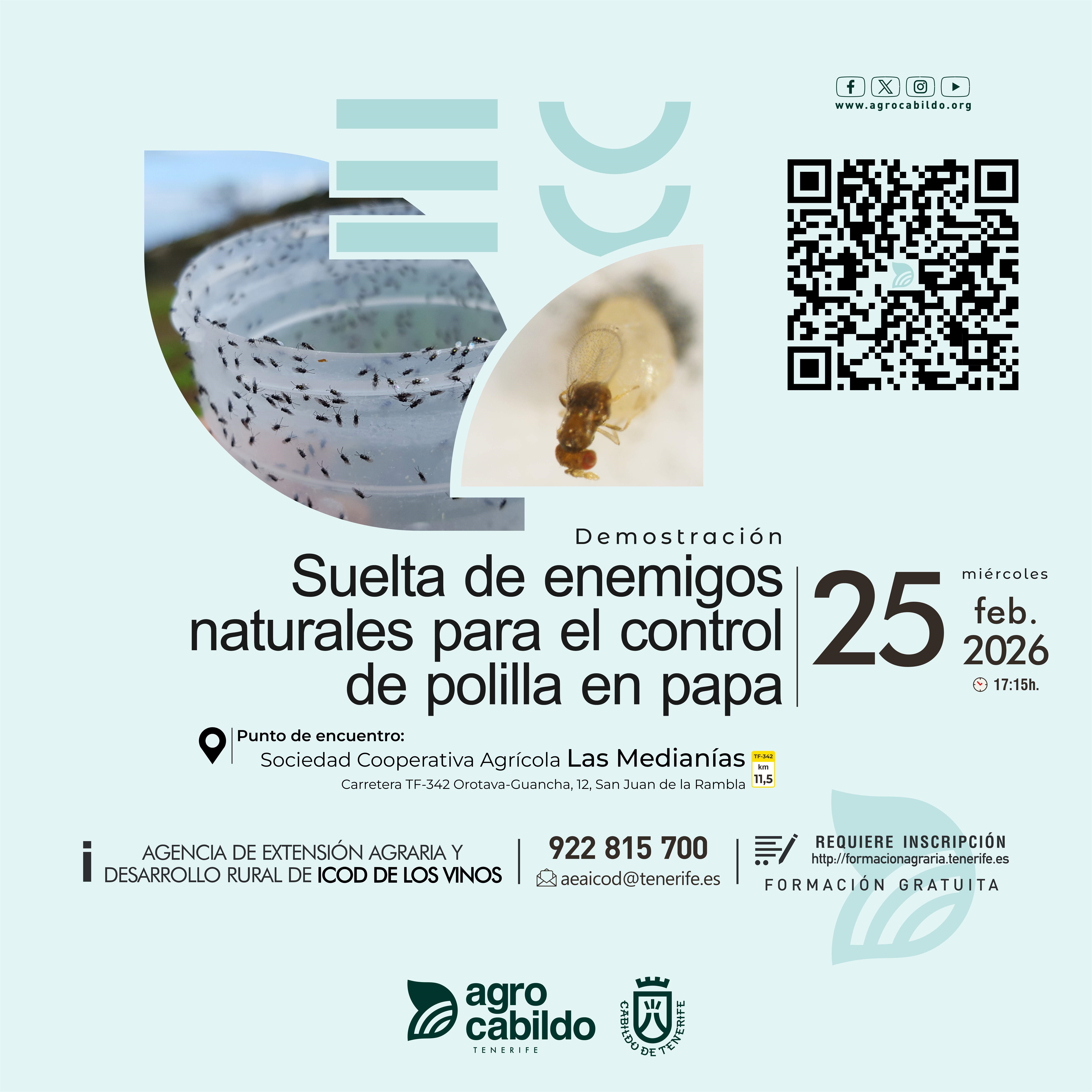 Demostración Suelta de enemigos naturales para el control de polilla en papa