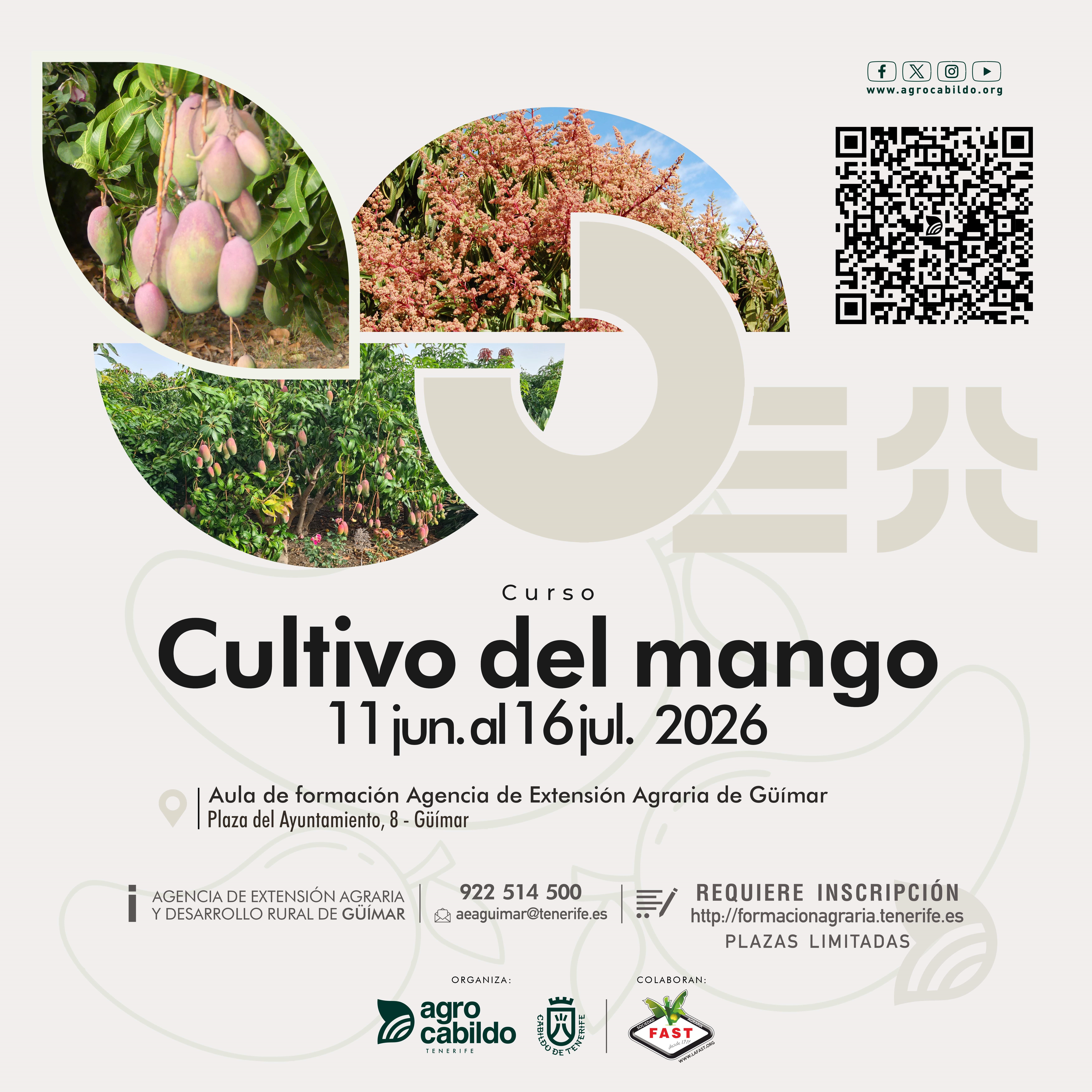 Curso Cultivo del mango